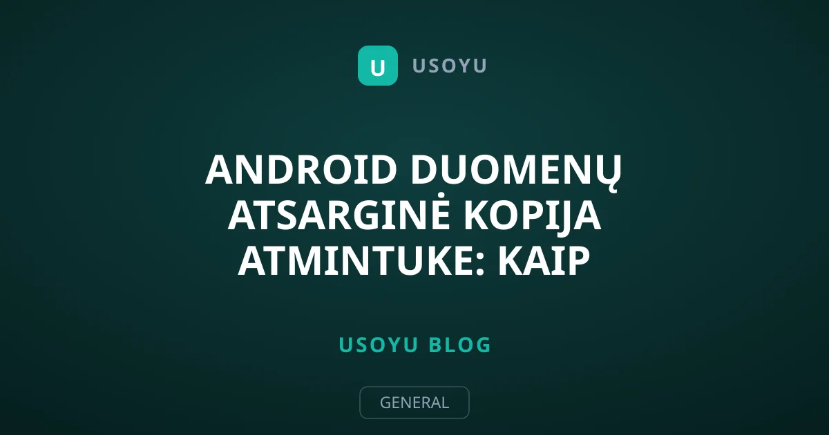 Android duomenų atsarginė kopija atmintuke: kaip atlikti